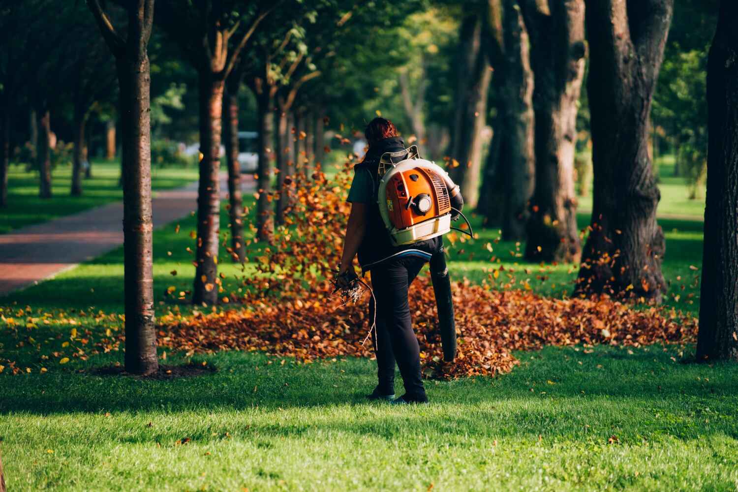 Best Emergency Storm Tree Removal  in Watertown, WI